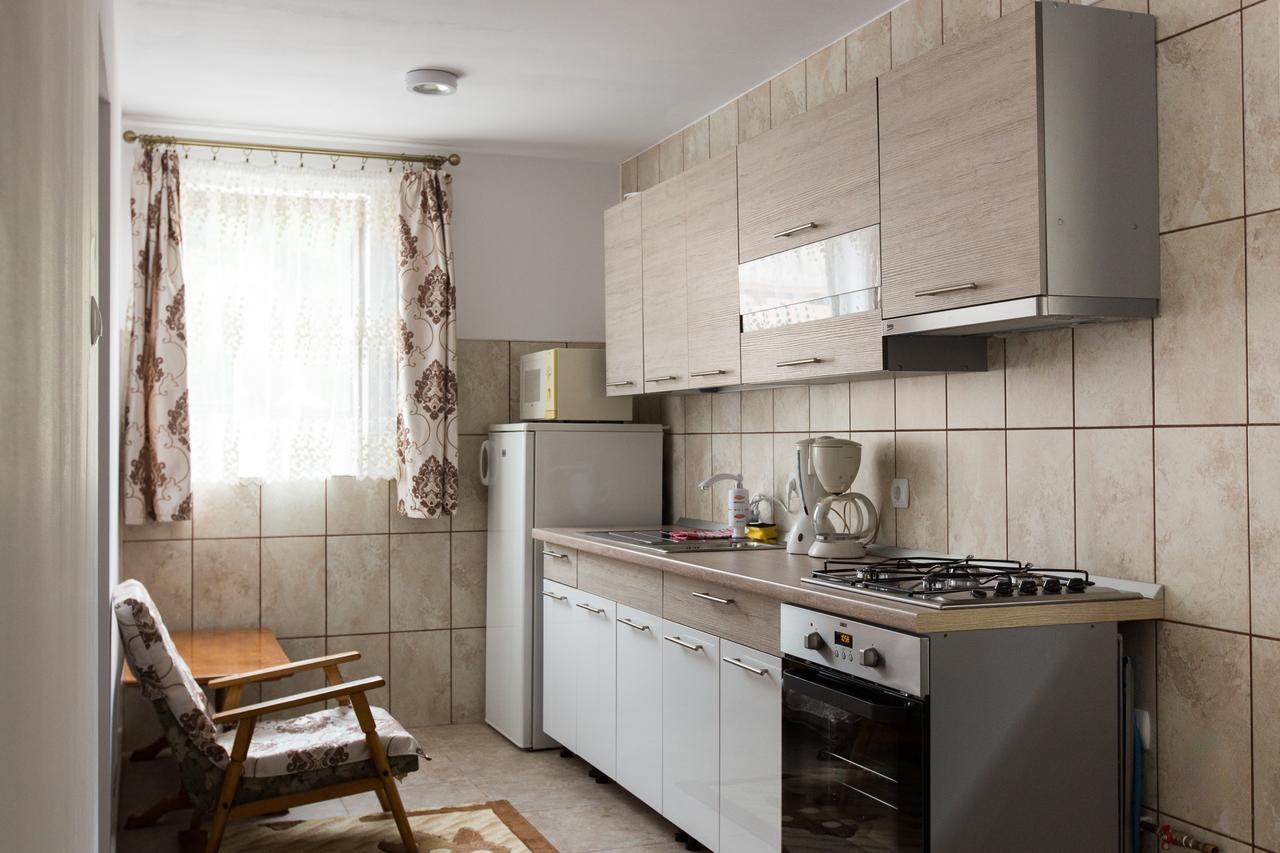 Casa Kis Villa Vişeu de Sus Екстериор снимка